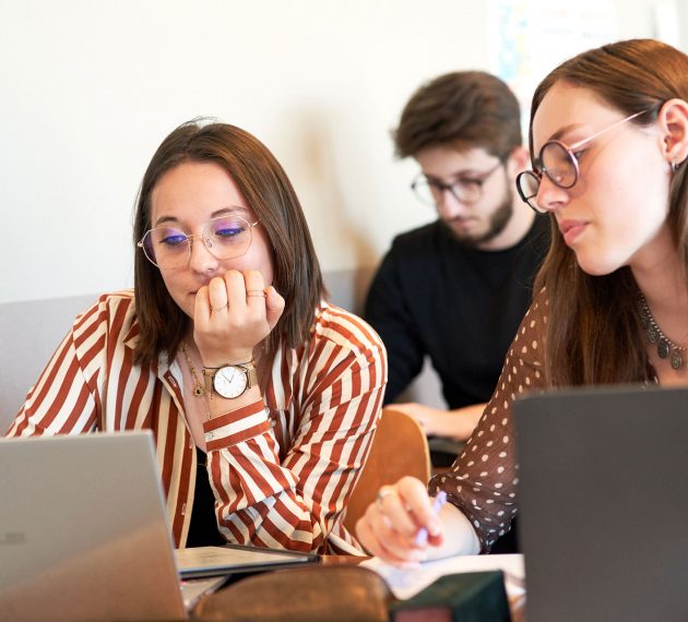 Métiers de nos anciens étudiants