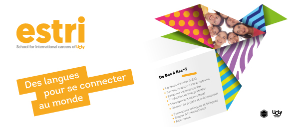 Brochure ESTRI