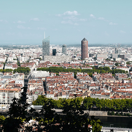 Mission professionnelle de fin d'études Vincent Milaneschi